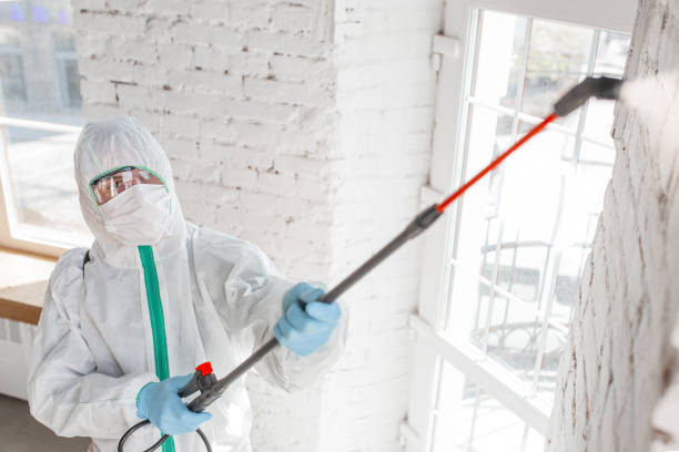 Best Water Damage & Mold Remediation  in , SC