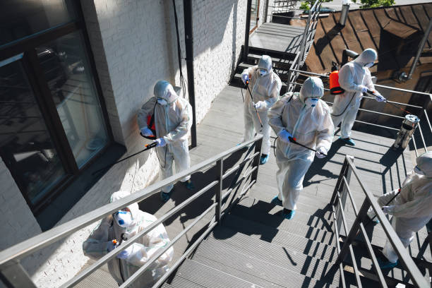 Best Mold Odor Removal Services  in , SC