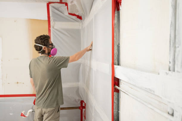 Best Mold Remediation for Healthcare Facilities  in , SC