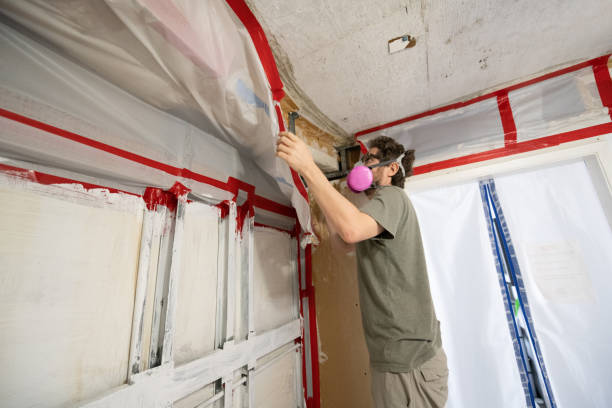 Best HVAC Mold Inspection and Cleaning  in , SC