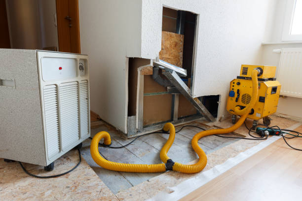Best Air Quality Testing for Mold Spores  in , SC
