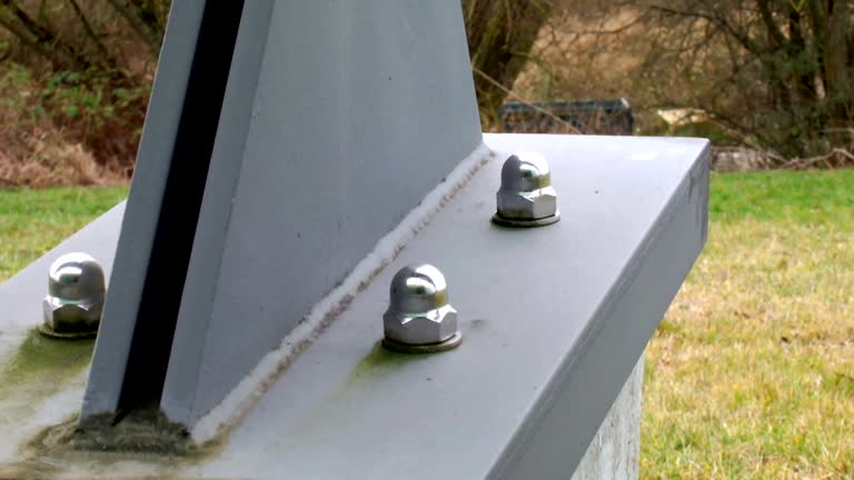 Best Post-Construction Mold Inspection  in , SC